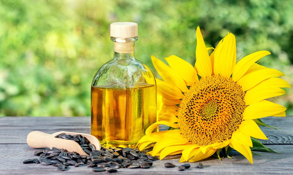 benefits of sunflower oil